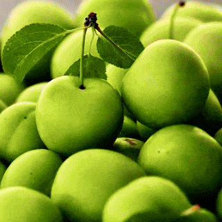 Nice PlumTide | Regenerative Serum