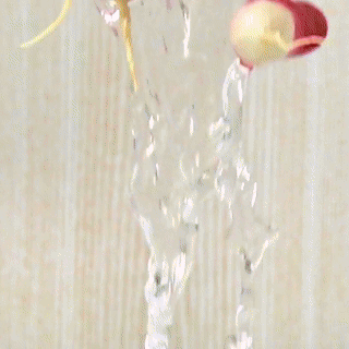 SUPPLE | Radiant Pro-Ferment Serum